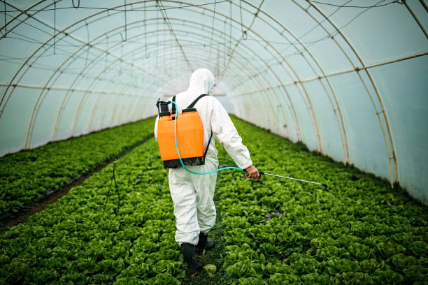Best Residential Pest Control  in Cedarburg, WI