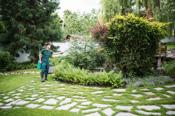 Best Local Pest Control Services  in Cedarburg, WI
