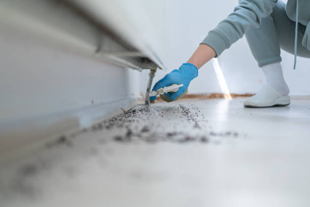 Best Pest Removal Services  in Cedarburg, WI